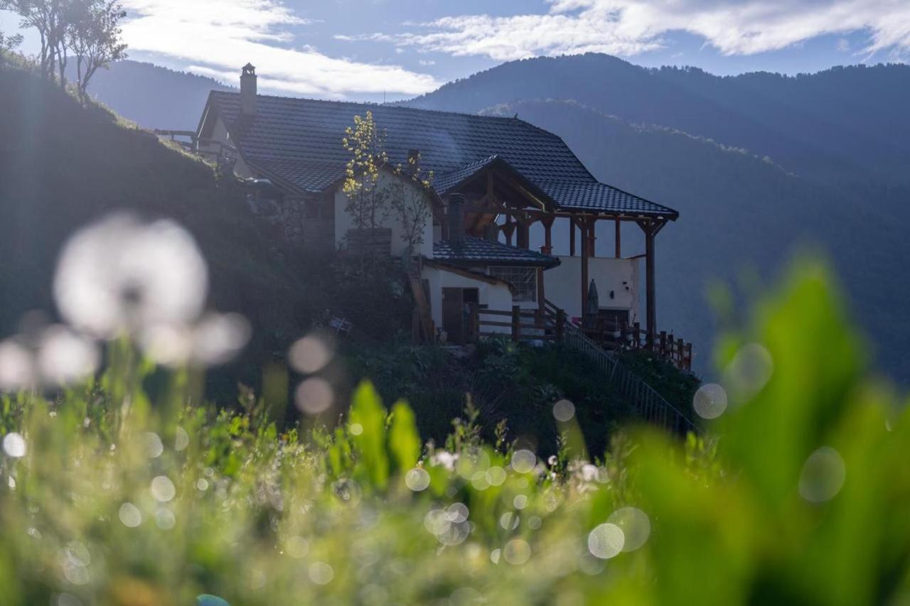 Zeneli Alpin Chalet Cerem Ngoại thất bức ảnh