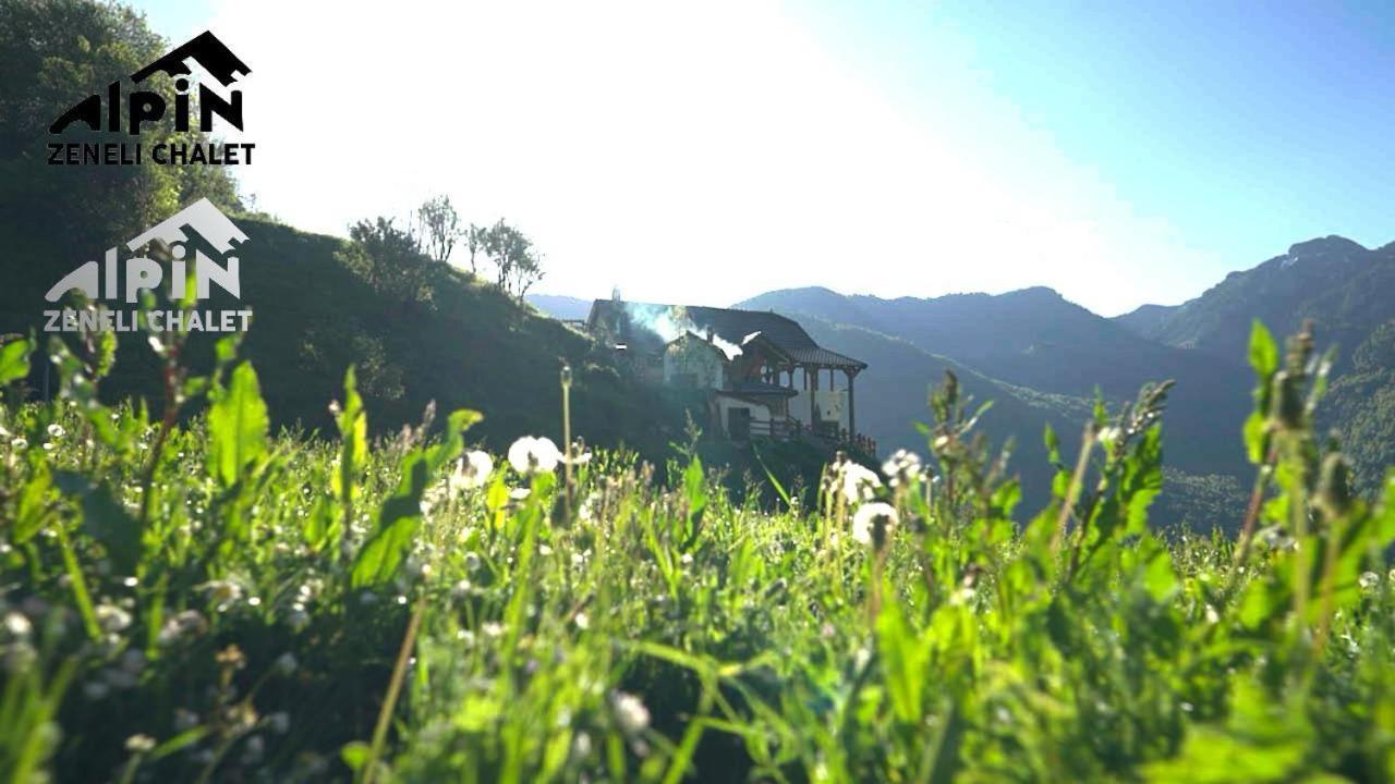 Zeneli Alpin Chalet Cerem Ngoại thất bức ảnh